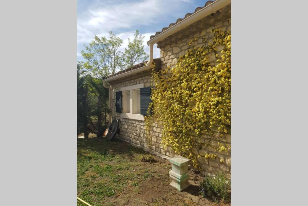 Appartement 2 Pers Avec Acces Piscine Saint-Rémy-de-Provence Dış mekan fotoğraf